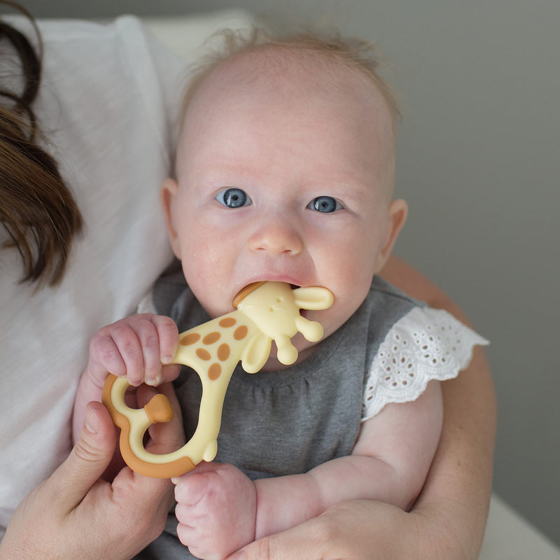 [Australia] - Dr. Brown's Ridgees Giraffe, Massaging Baby Teether, Designed by a Pediatric Dentist, BPA Free, 3m+ 