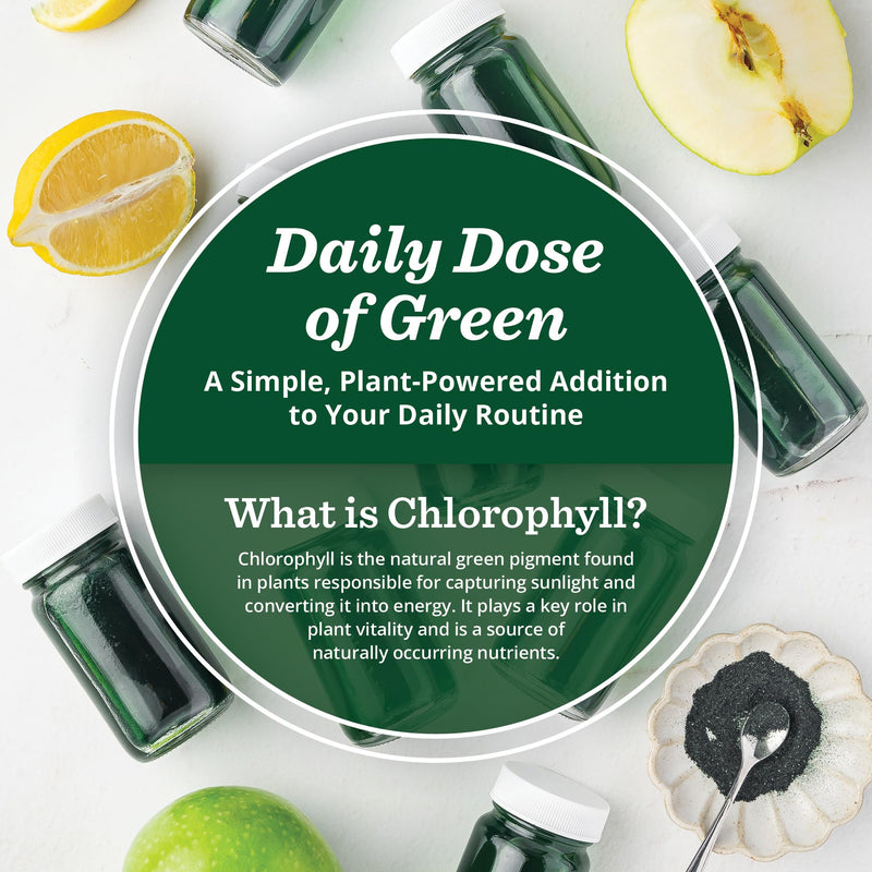 [Australia] - All About Juicing Chlorophyll Green Juice Shots - Clean Energy, Detox, Alkalize - 15 Stick Packs - Superfood Juice Powder - PuriVibe Chlorophyll Shots 15 Pack 