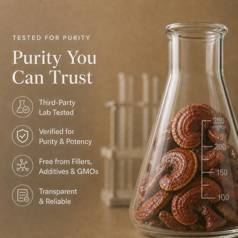 Ancient Extracts Reishi Mushroom Powder 15:1 Extract (60 servings) | Promotes Immune Health & Stress Support | 1 Serving Equals 15,000mg of Raw Mushroom | 30% Beta Glucans | Tested for Purity & Safety