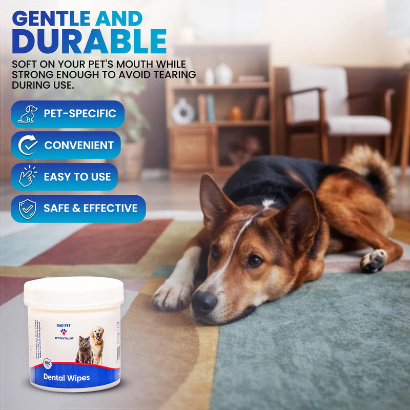 Rad Health Inc Fresh Breath No Brushing Clean Teeth Dental & Oral Care Dental Wipes for Dogs, 100ct - Teeth Cleaning Wipes - Helps Wipe Away Plaque & Tartar - Freshens Breath - No Brushing Required - PawsPlanet Australia