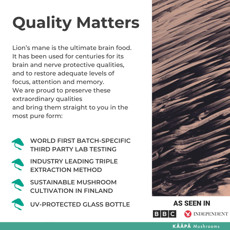 Lion's Mane Mushroom Elixir - Lions Mane Extract + Zinc + Vitamin C - Potent Ultrasonic Extraction | Mushroom Supplement for Focus, Brain & Memory | Grown in Finland - 50ml LIONS MANE ELIXIR 50ml