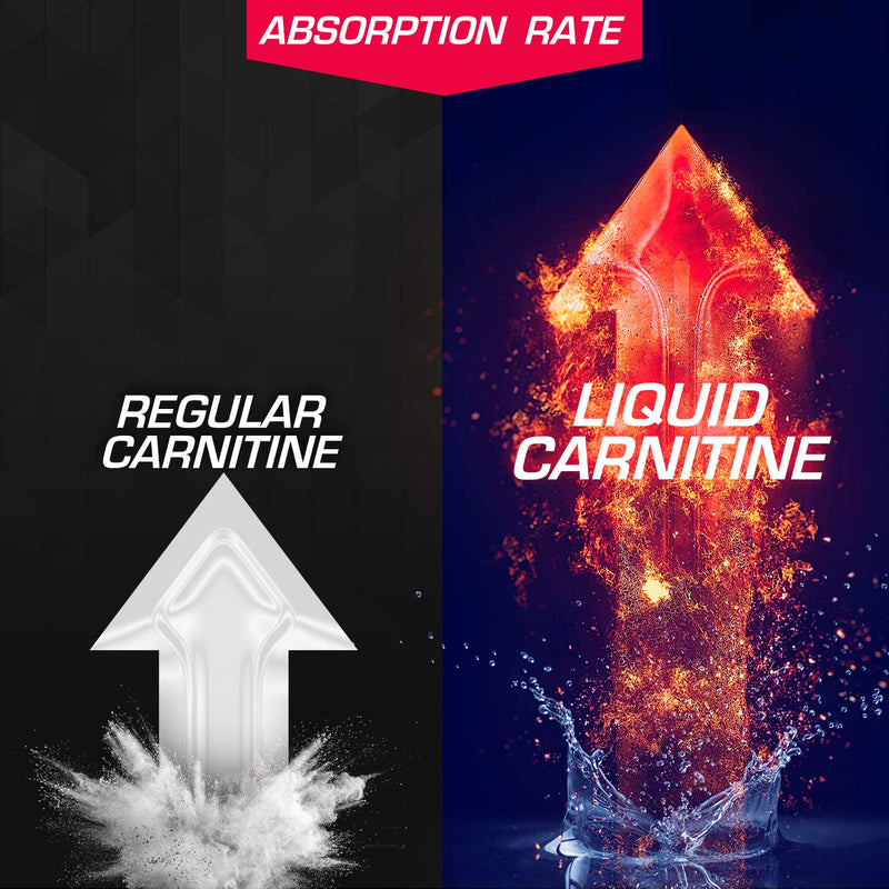 [Australia] - EFX Sports L-Carnitine Liquid 1500mg, Improve Performance and Strength, Vitamin B5 (31 Servings, Fruit Punch) 16 Fl Oz (Pack of 1) 