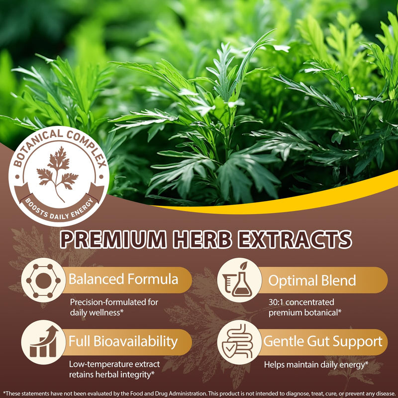 Wormwood Black Walnut and Clove Softgels, 6600mg High Strength Formula for Humans with Pumpkin Seed, Garlic, Turmeric & Oregano, Supports Digestive, Liver Wellness & Daily Energy, 240 Softgels