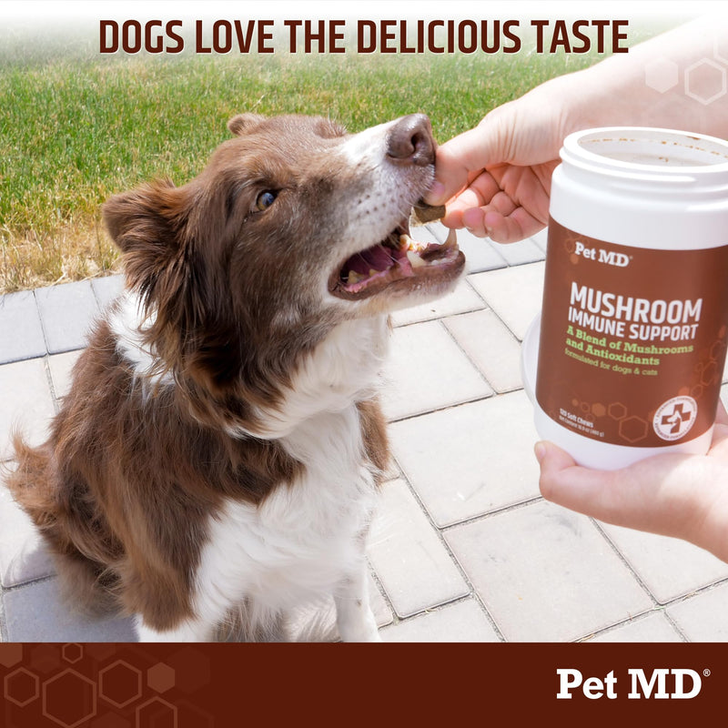 Pet MD Mushroom Immune Support - Turkey Tail Mushroom for Dogs - Mushroom Cat Immune Support Supplement - Milk Thistle for Dogs & Cats with CoQ10 for Dogs - Immunity Supplement for Dogs - 120 Chews - PawsPlanet Australia