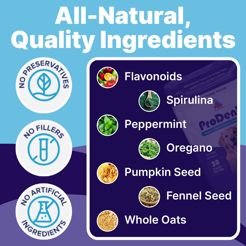 ProDenta, All-Natural Dog Breath Freshener, Easy-to-Use Dog Teeth Cleaning Powder Against Leaky Gums, Dental Powder for Dogs Teeth and Tartar Remover Made in USA, 30 Scoops 1-Pack 2.75 oz - PawsPlanet Australia