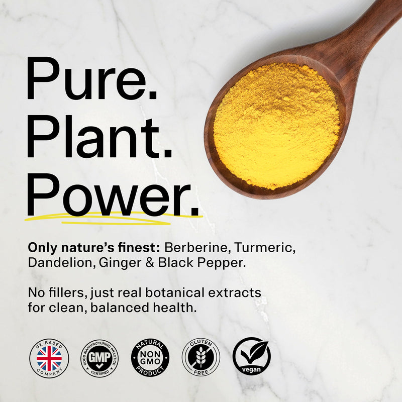 Liver Detox & Digestive Support Capsules – Metabolism & Gut Health Complex with Berberine, Turmeric, Dandelion & Ginger – 90 Vegan Capsules