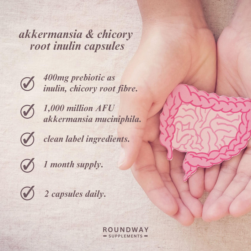 Akkermansia Muciniphila Supplement with Chicory Root Inulin | Probiotics for Gut Health | Delayed Release | High Strength 1,000 Million AFU | Postbiotics & Colon Cleanse Support | 60 Capsules