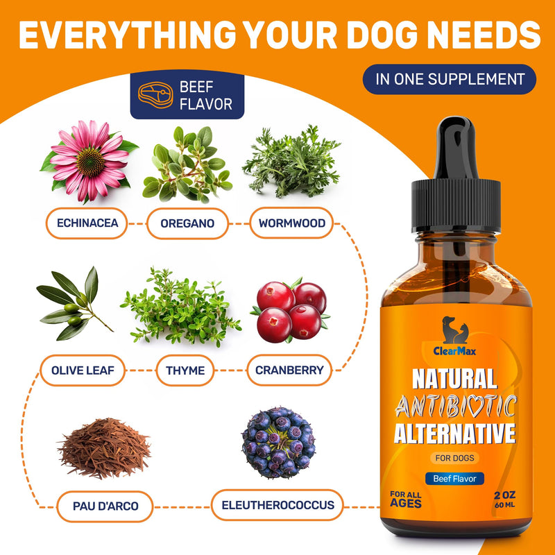 Natural Antibiotics for Dogs for Allergies, Infections, Coughs, Digestive Moments – Dog Antibiotics with Beef Flavor May Support Urination and Breathing – Organic Composition with Cranberry – 2 Oz - PawsPlanet Australia