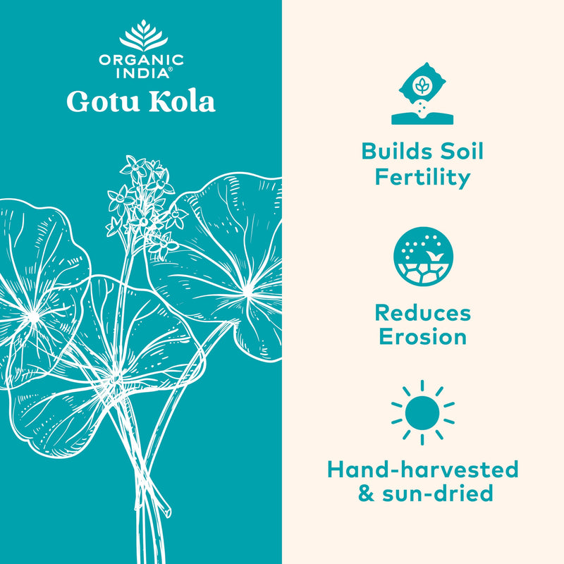 [Australia] - Organic India Gotu Kola Herbal Supplement - Adaptogen for Brain & Nervous System Support, Vegan, Gluten-Free, Kosher, USDA Certified Organic, Non-GMO, Calming, Clarity - 90 Capsules 