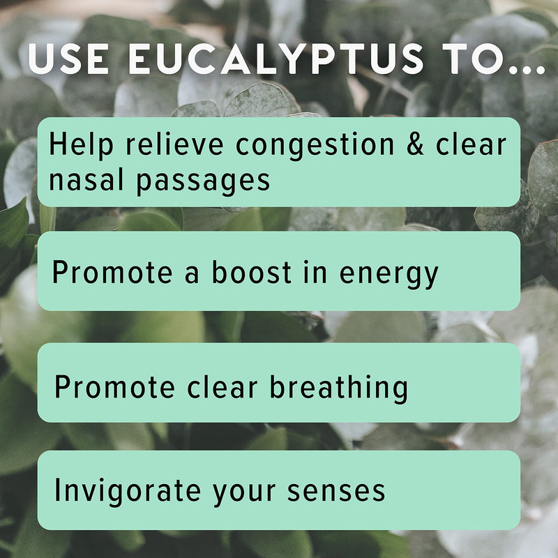 [Australia] - MOXĒ Eucalyptus Essential Oil Nasal Inhaler, Sinus & Congestion Relief, Daily Relaxation, Stress Relief, Therapeutic No-Mess Aromatherapy, Pure and Natural, Made in USA (3 Pack) 3 
