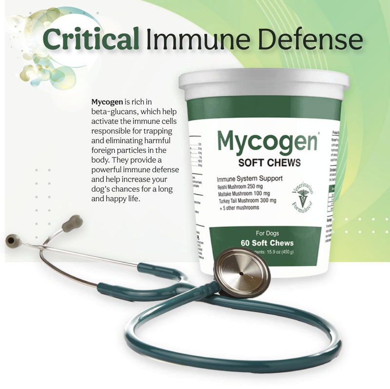 Mycogen for Dogs - Vitamins with 8 Types of Mushrooms - Support Immune System - 60 Soft Chews 1-Pack 60 chews - PawsPlanet Australia
