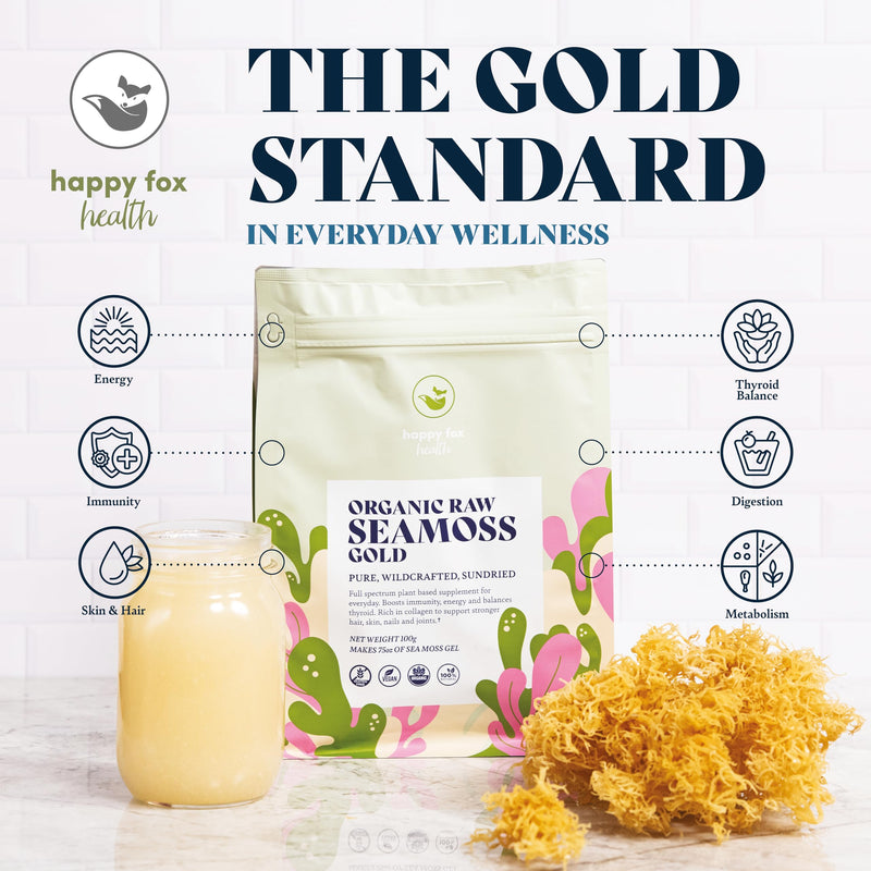 HAPPY FOX Organic Sea Moss Raw Gold - Makes 75oz of Seamoss Gel Rich in Vitamins & Minerals, Certified Non-GMO, Wildcrafted, Sundried Superfood - 3.5 oz Bag 3.5 Ounce (Pack of 1)