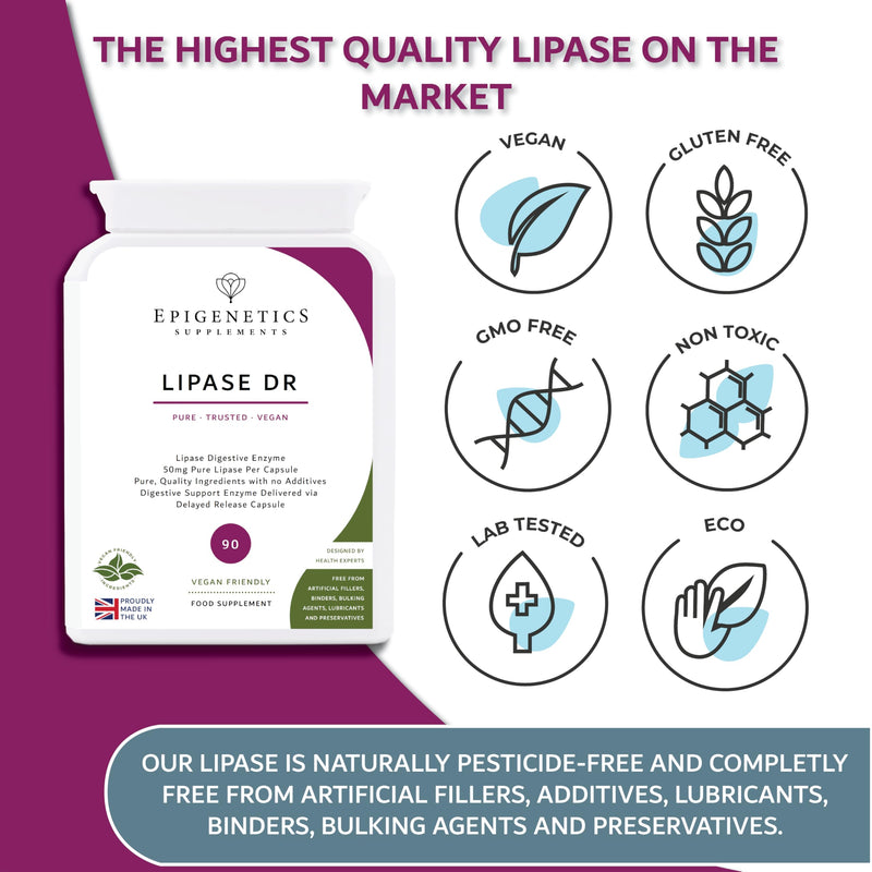 Lipase DR (Delayed Release) 50mg | Digestive Enzyme Supplements for Gut Support | 90 Vegan Friendly Delayed Release Capsules UK Made | 3 Months Supply