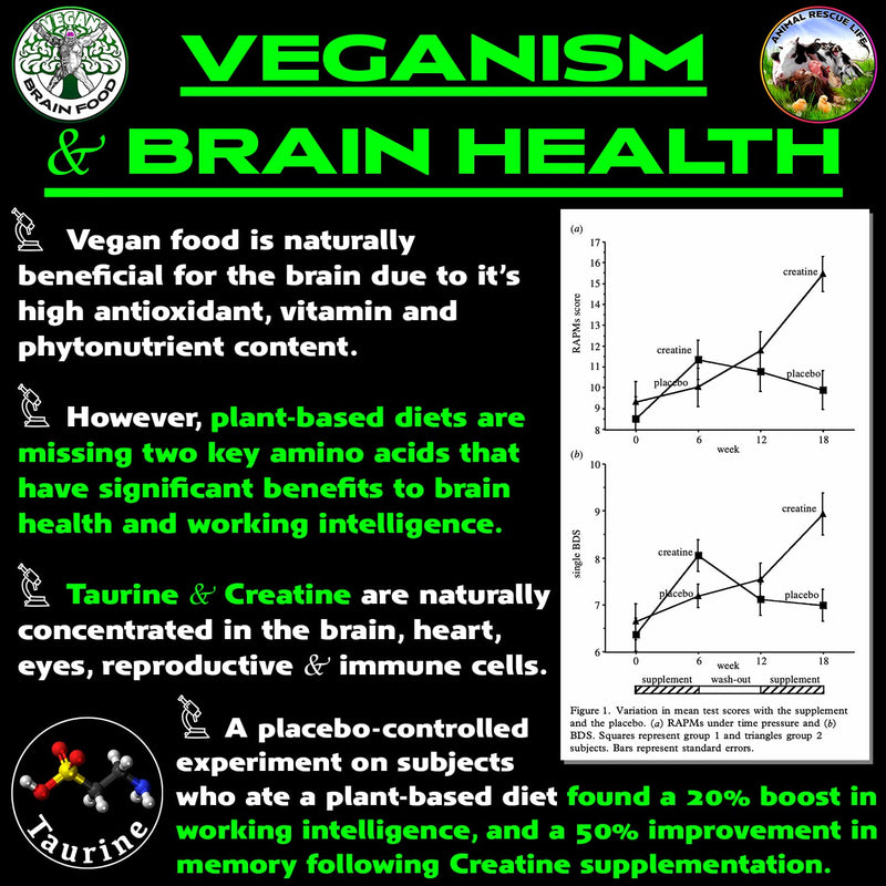 Vegan's Best Friend - Plant Based Multivitamin For Men & Women - Brain, Memory, Energy, Immune, Mood & Stress Support - Replaces 7 Supplements - Creatine, B12, D3, Choline, Zinc, Taurine - 40 Servings 10.6 Ounce (Pack of 1)