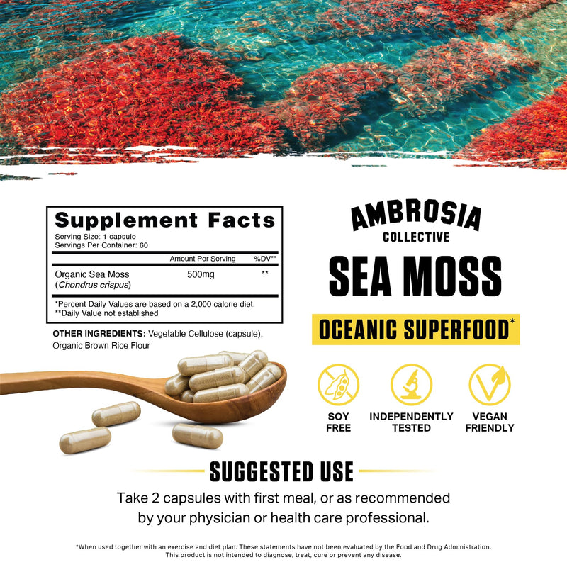 Ambrosia Organic Irish Sea Moss Capsules | Organic Sea Moss 500mg | Rich in Iodine, Potassium & Vitamins | Thyroid, Digestion & Immune Support | 120 Veggie Capsules (60 Day Supply)