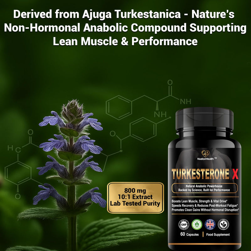 Turkesterone X by NuetonHealth – 800 mg Ajuga turkestanica Extract (10:1) | High Strength Turkesterone Supplement for Men | 60 Capsules | Lab Tested | Clean Vegan Formula 60 count (Pack of 1)
