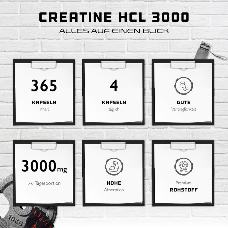 [Australia] - Creatine HCL - 365 vegan capsules - High dose with 3000 mg - Pure creatine hydrochloride - High absorption - High bioavailability 365 pieces 