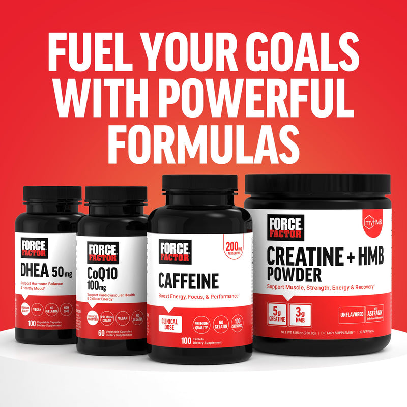 [Australia] - Force Factor L-Carnitine Liquid 3000mg, Maximum Strength Supplement to Support Fat Metabolism, Cellular Energy & Muscle Recovery, High Absorbing, Non-GMO, Orange Flavor, 16 oz Bottle 