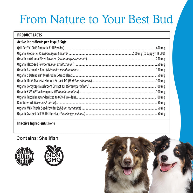 Daily Dawg Mushroom Extract Powder Support - 265 oz Bulk Supplement Dog Vitamins with Real Mushrooms Lions Mane, Cordyceps Mushroom, Turkey Tail, Reishi Shiitake - PawsPlanet Australia