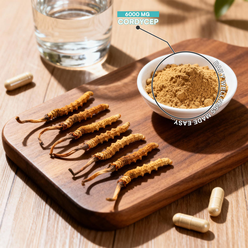Cordyceps 6000mg | 120 Capsules | Vegan | 10:1 Cordyceps Mushroom Extract | Performance Supplement for Energy, Vitality & Immune Support | Rich in Polysaccharides | No Additives | Non-GMO 120 count (Pack of 1)