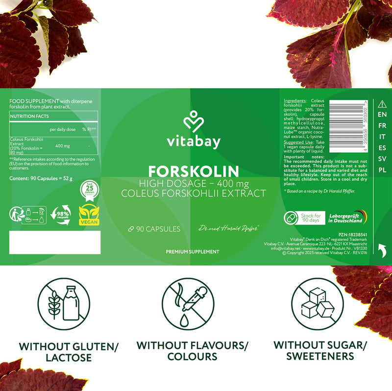 Vitabay Forskolin 400 mg High Strength – 90 Vegan Capsules – Coleus forskohlii Root Extract – Vegan & Lab Tested in Germany – 3 Month Supply