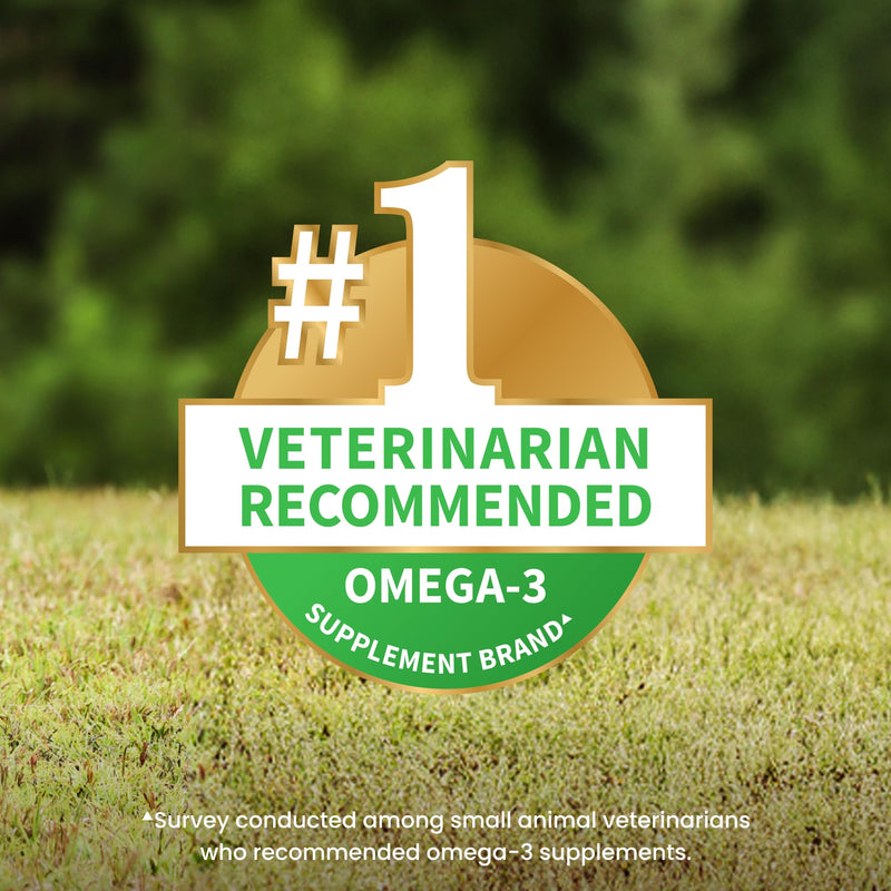 Nutramax Welactin Omega-3 Fish Oil Dog Supplement, Skin & Coat, Liquid 16oz 16 oz (480 mL)