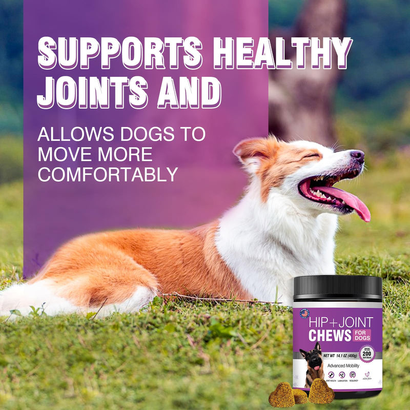 Glucosamine for Dogs 200pcs Joint Support Supplement Dog Hip and Joint Chondroitin Chews Treats with MSM Hemp Dog Joint Pain Relief Mobility Supplements Chicken Flavor Fit All Large Small Medium Breed - PawsPlanet Australia