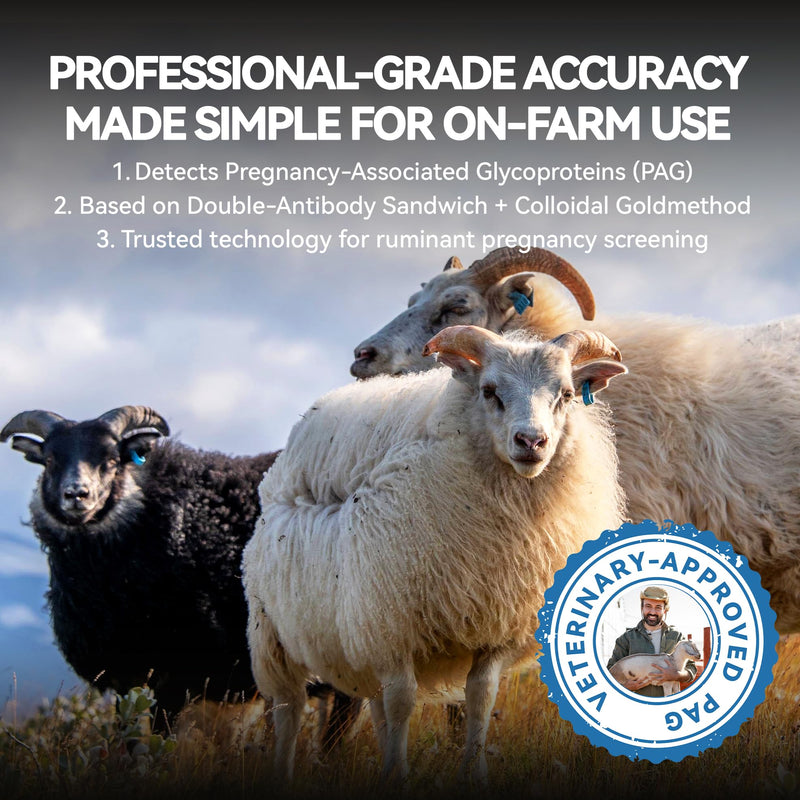 Sheep/Ovine/Goat Early Pregnancy (PAGs) Rapid Test Kit - 5 Tests, Hormones (PAGs), Whole Blood/Serum/Plasma Testing, Detect Pregnancy as Early as 28 Days Post-Breeding