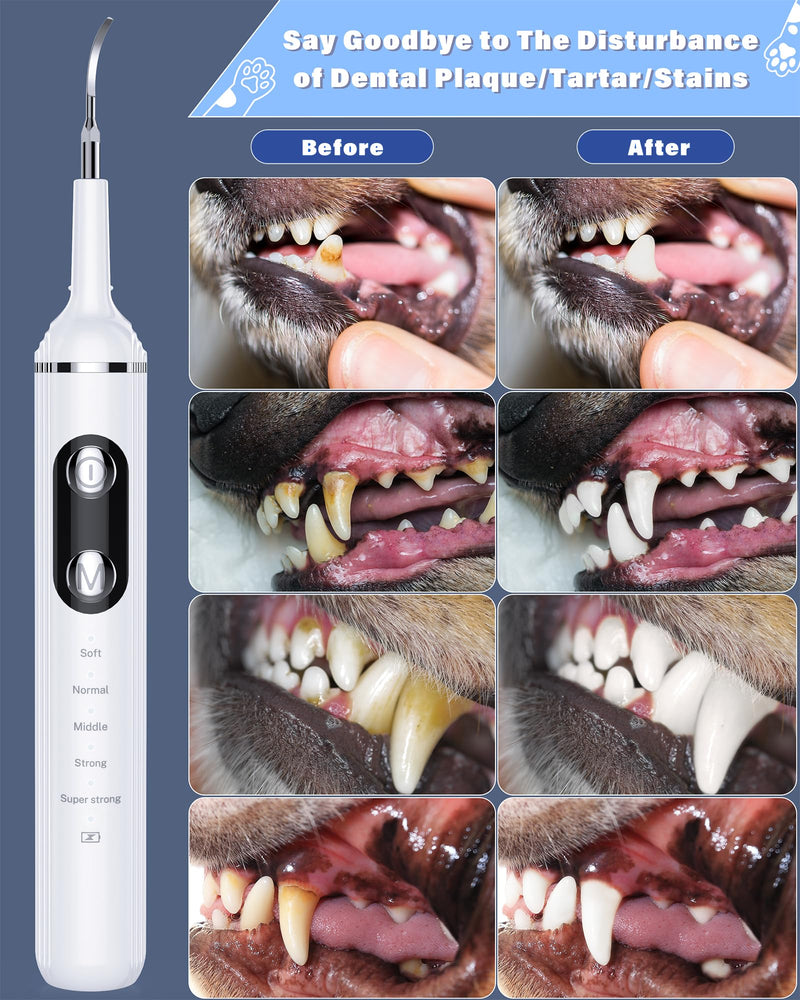 [Australia] - Plaque Remover for Teeth, Pet Tooth Brushing Kit, Dental Tools to Remove Plaque and Tartar, Safe for Dog and Cat, with LED Light, White 