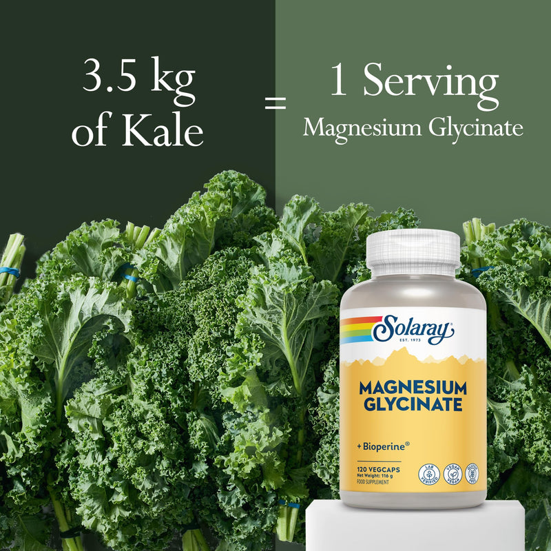 Solaray Magnesium Glycinate Chelated - 120 Vegan Capsules - 350mg Elemental Magnesium - Gentle on Stomach - Supports Energy, Muscle Function, Relaxation & Reduces Fatigue - Lab Verified