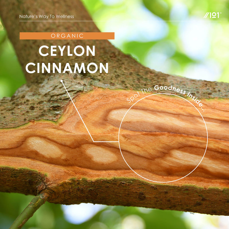 Organic Ceylon Cinnamon 1400mg – 100% Sri Lanka Cinnamon Verum – 180 Vegan Capsules – Resealable and Recyclable Pouch by Alpha01 1 count (Pack of 180)
