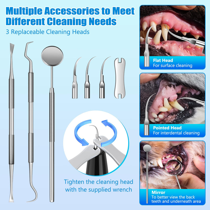 Dog Tartar Remover for Teeth, Plaque Remover with LED Light Teeth Cleaning Kit 5 Modes for Dogs and Cats, Black