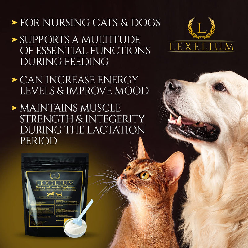 Nursing Supplement and Vitamins for Nursing Dogs and Cats - Nursing, Lactation and Recovery Supplement for Breeders - Muscle & Mental Development for Puppies and Kittens - 200g - PawsPlanet Australia