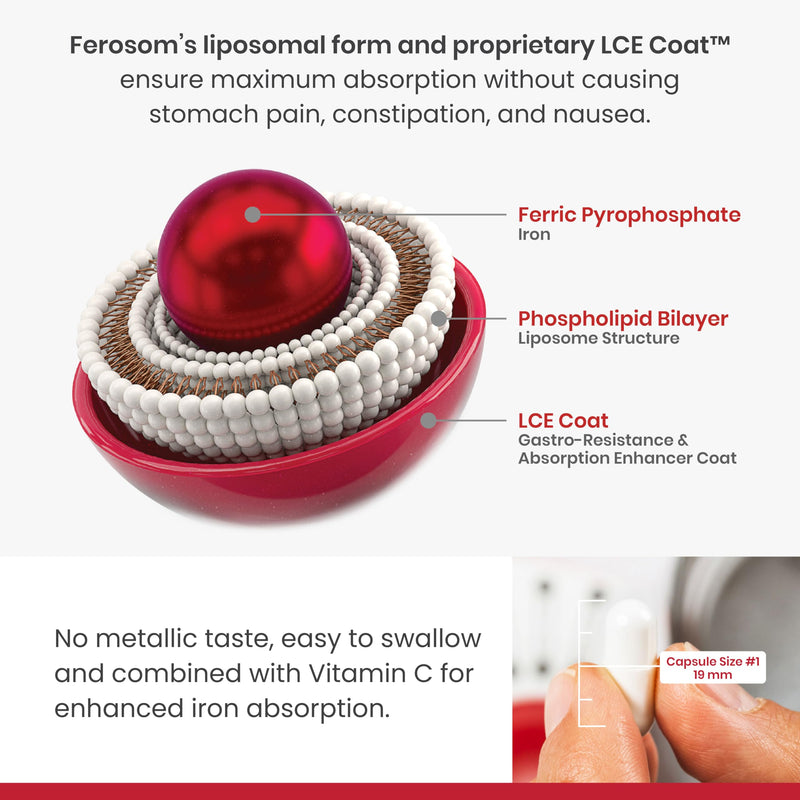 LCE Liposomal Gentle Iron Supplement 30 mg, 30 Capsules | With vitamin C, high absorption support, well-tolerated daily formula for hemoglobin and ferritin Unflavored