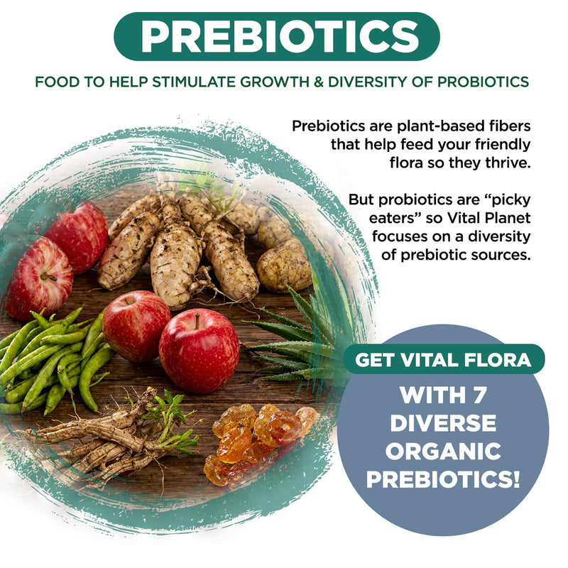 Vital Planet - Vital Flora Men 55+ Daily Probiotic, 60 Billion CFU, 60 Diverse Strains, 7 Organic Prebiotics, Immune Support, Gas Relief, Colon and Digestive Health Probiotics for Men 30 Capsules