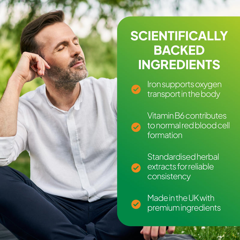 Ginkgo & Ginseng Complex | Standardised Extracts for Mental Performance & Energy | Iron & Vitamin B6 for Cognitive Function & Fatigue Reduction | 180 Tablets = 2 Months' Supply 180 count (Pack of 1)