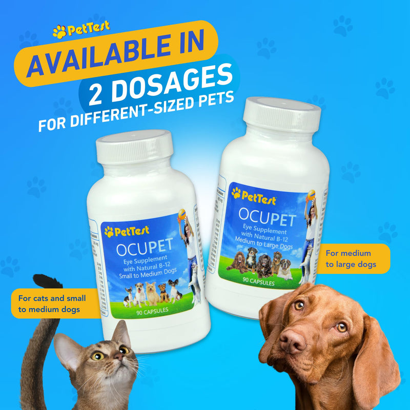 Ocupet Advanced Vision and Eye Health Supplement for Medium to Large Dogs Packed with Natural B12, Grape Seed Extract and Lutein to Support Pets with Diabetes or Eye Related Conditions-90 Capsules Medium-Large_Dogs - PawsPlanet Australia