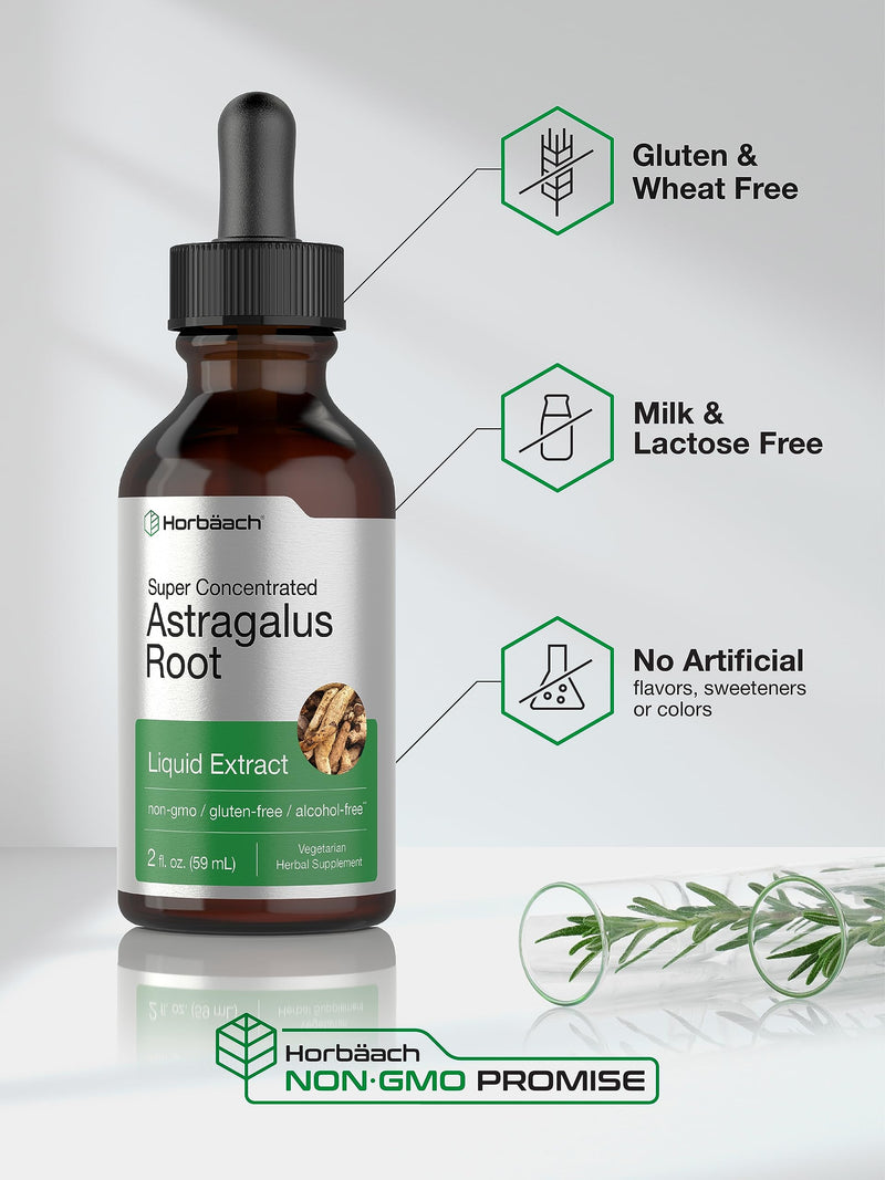 Horbäach Astragalus Root Extract Liquid | 2 fl oz | Alcohol Free Tincture | Super Concentrated | Vegetarian, Non-GMO, Gluten Free