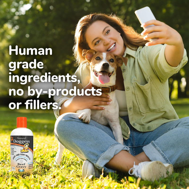 Dressing Best Hip and Joint Supplement for Dogs, Glucosamine & Chondroitin/Joint Health/Salmon Oil for Dogs Skin and Coat Health, Delicious Beef Gravy Flavor - 16 Oz Pack of 1 16 ounce Liquid Beef Gravy Supplement - PawsPlanet Australia