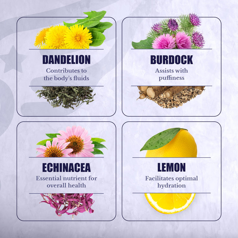 [Australia] - Lymph MD - Lymphatic System Supplement with 9 Botanicals - Dandelion, Burdock, Echinacea, Lemon & More - Supplements for Men and Women - 60 capsules 