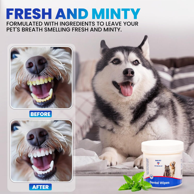 Rad Health Inc Fresh Breath No Brushing Clean Teeth Dental & Oral Care Dental Wipes for Dogs, 100ct - Teeth Cleaning Wipes - Helps Wipe Away Plaque & Tartar - Freshens Breath - No Brushing Required - PawsPlanet Australia