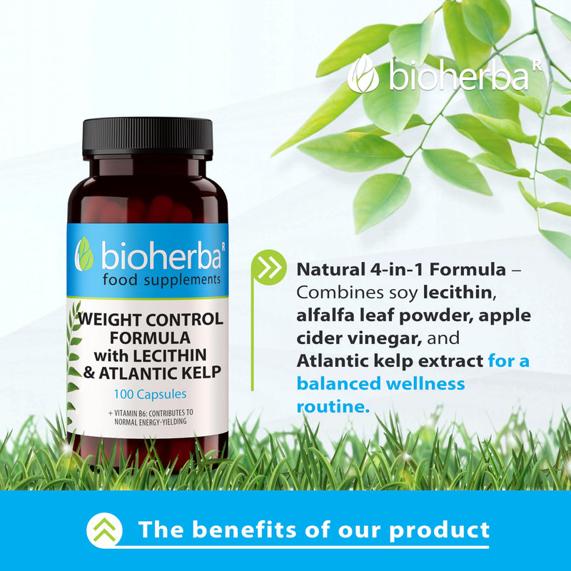 Lecithin 4-in-1 Complex – 100 Capsules | with Alfalfa, Apple Cider Vinegar, Kelp & Vitamin B6 – by BIOHERBA