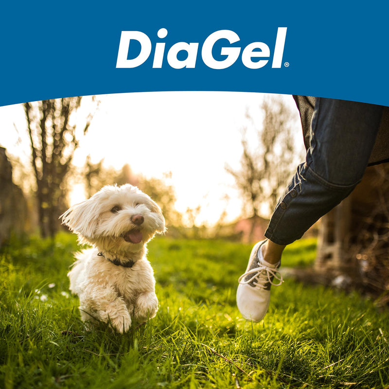 DiaGel for Small Dogs - Natural Dog Supplements to Help Maintain Digestive Health & Function - Oral Gel to Help Control Diarrhea - Natural Pet Products - PawsPlanet Australia