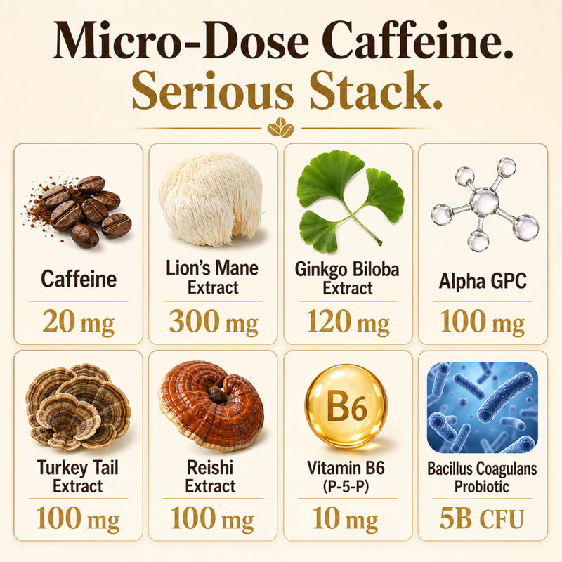 Mushroom Coffee Gummies with Lion’s Mane, Ginkgo Biloba, Alpha GPC & B6 P5P | Ginkgo Biloba, Alpha GPC, Mushroom Complex (Lion's Mane, Turkey Tail, Reishi), Probiotic, Vitamin B6 (P-5-P)