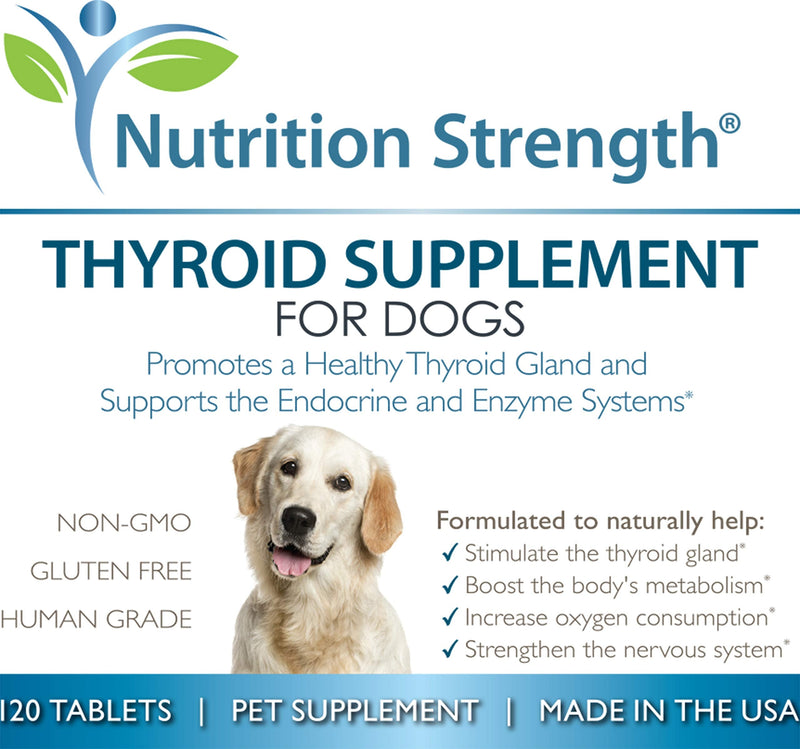 Thyroid Supplement for Dogs, Support for Hypothyroidism in Dogs with Organic Bladderwrack, Promotes Normal Function of Endocrine and Enzyme Systems, 120 Chewable Tablets - PawsPlanet Australia