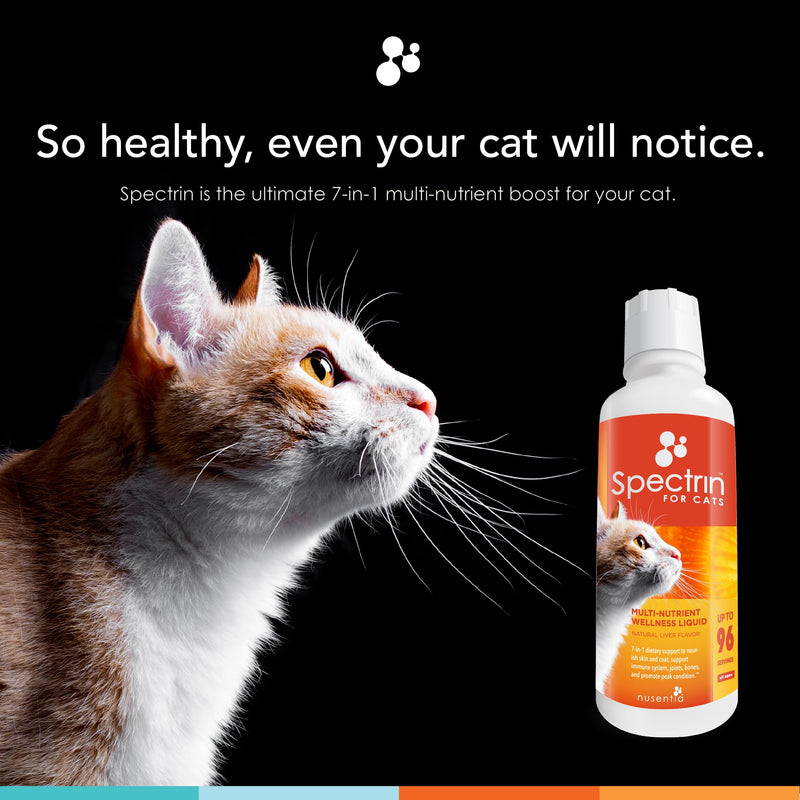 Cat Vitamins - Spectrin 16 OZ - Liquid Vitamin & Antioxidant Supplement for Cats - 96 doses - PawsPlanet Australia