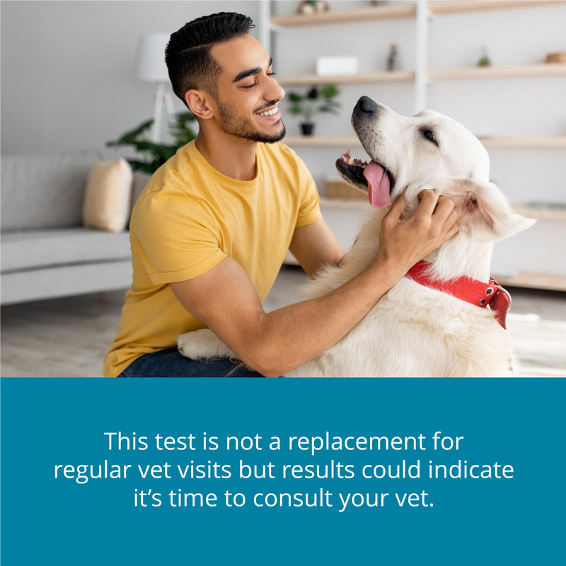 [Australia] - Petivity at-Home Oral Health Test for Cats and Dogs, Powered by Purina- (Pack of 1) 