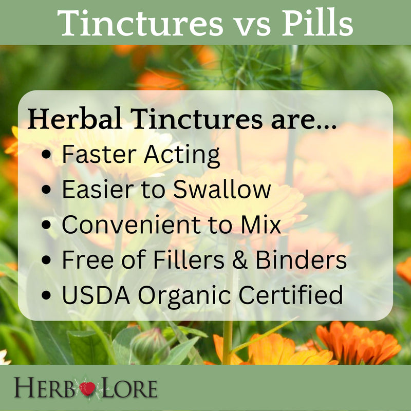 [Australia] - Herb Lore Organic Shatavari Root Extract Tincture - Liquid Shatavari Drops (Asparagus Racemosus) for Lactation and Wellness Support - Alcohol Free (2 fl oz) 2 Fl Oz (Pack of 1) 