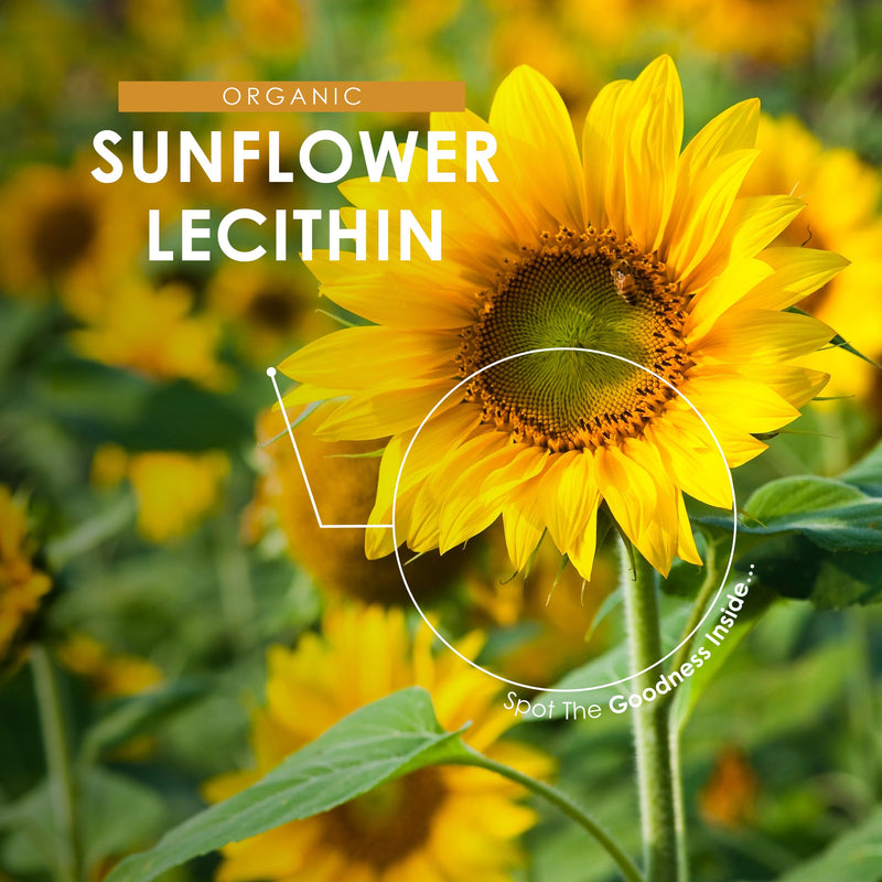 Sunflower Lecithin Powder 100g – De-Oiled 97% Essential Fat – Premium Quality – Resealable and Recyclable Pouch by Alpha01 100 g (Pack of 1)