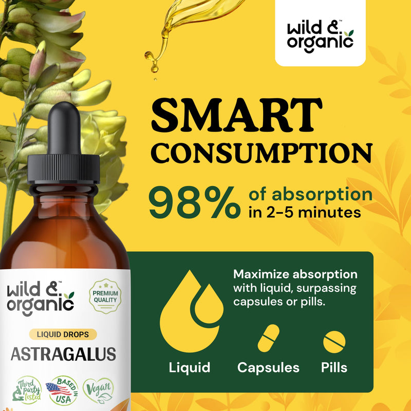 [Australia] - Wild & Organic Astragalus Tincture - Immune Support Supplement w/Astragalus Root - Vegan Astragalus Root Tincture for Immunity Support - Alcohol-Free Adaptogenic Drops w/Astragalus Extract - 4 oz 4 Fl Oz (Pack of 1) 